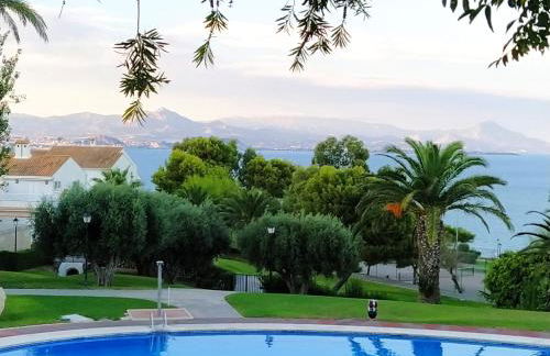 Gran Vista - Photo 13