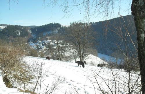 Ferienwohnungen Sonnenpfad - Foto 37