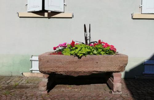 Aux 6 hirondelles - Foto 42