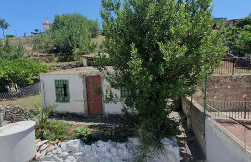 Casa Haarlemeña - Foto 20