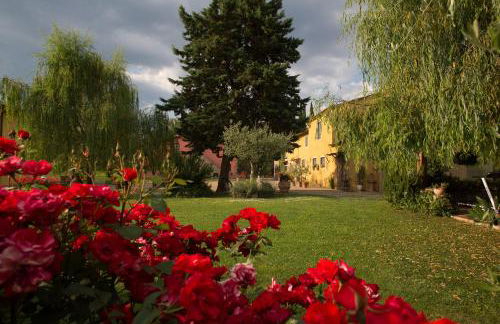 Podere Piandarca - Photo 39