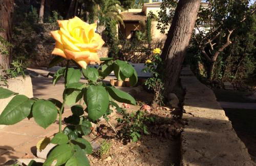 Villa Alemania - Photo 42