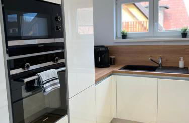 Alsace Appartement à Colmar climatisée garage, parking et terrasse - Foto 13