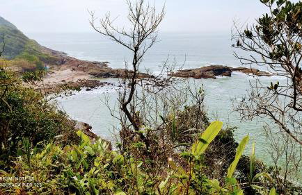 Casa Verde -temporada/Beto Carrero - Foto 32