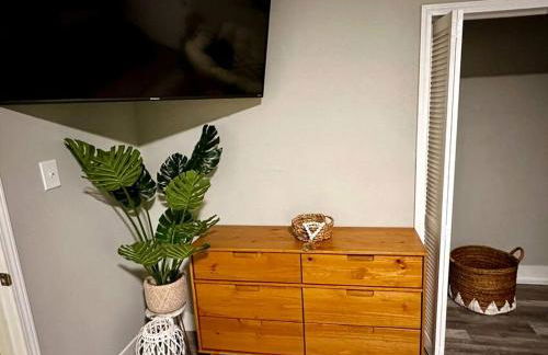 Boho Bungalow near TU/DT/Cherry St/Expo Center - Foto 17