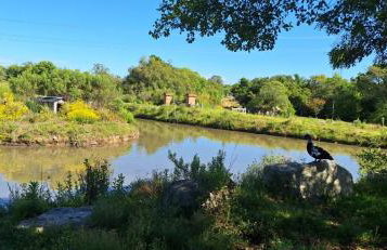 Rancho Bela Vista - o seu recanto em Pelotas - Foto 46