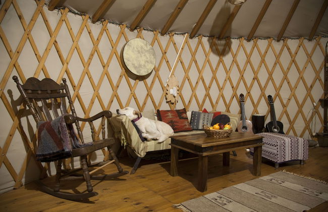 Yurt Located in a Little oak Grove - Foto 8