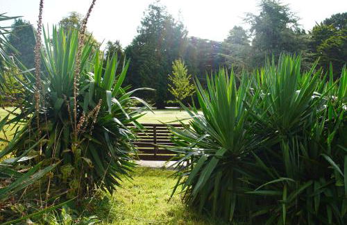 Epiphany House - Photo 37