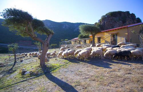 Agriturismo Sa Rocca - Foto 19