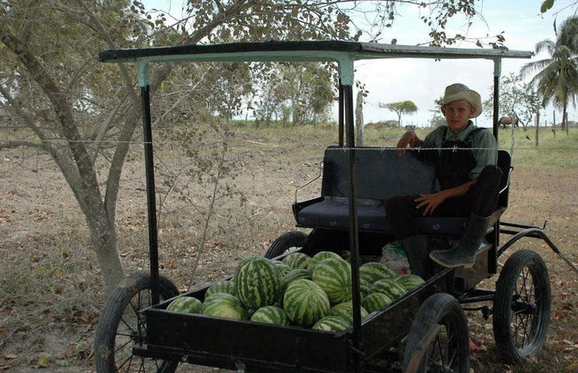 Excursión a Barton Creek - Foto 2