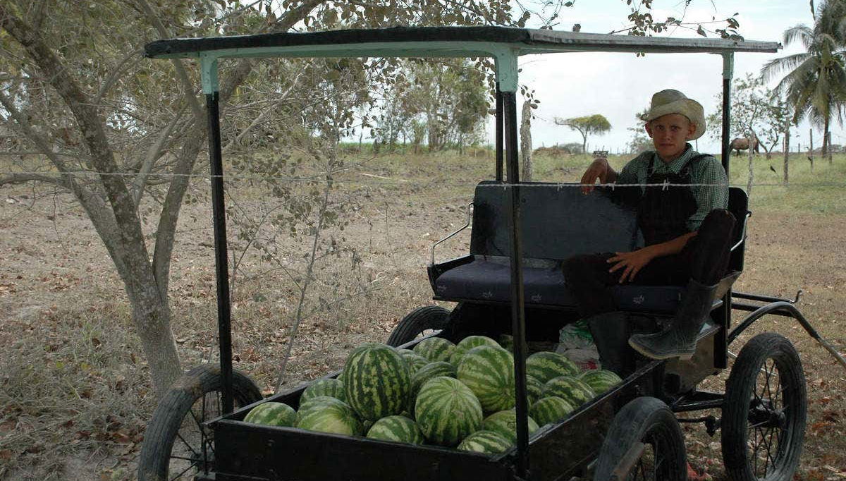 La granja menonita Barton Creek