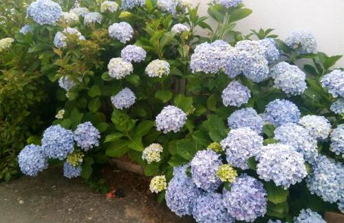 Apartment With 2 Bedrooms in Urqueira, With Wonderful Mountain View, Pool Access, Enclosed Garden - Foto 44