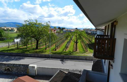 Agriturismo Tonutti - Foto 17