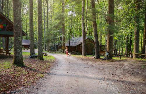 South Fork cabin at Cabin Fever in NC - Foto 7