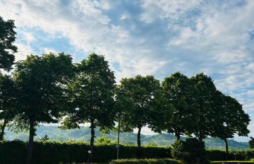 Monferrato Country House Basin dAmor Casa di campagna - Photo 67