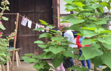 BirnenhofArts - Foto 25