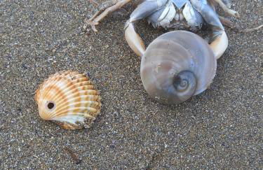 Villa Serena - Foto 61