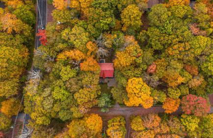 Hot Tub Fire Pit Dog Friendly - Foto 33