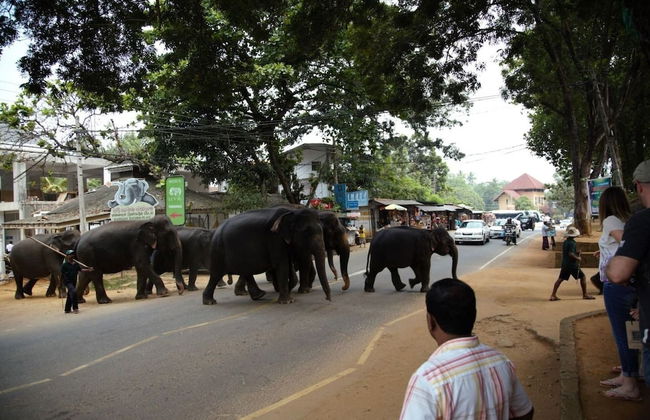 Explore Central Srilanka - Foto 37