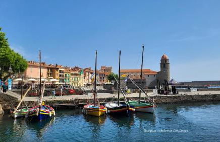BAMBOU SERENITE ECO LOGIS -Piscine - Foto 36