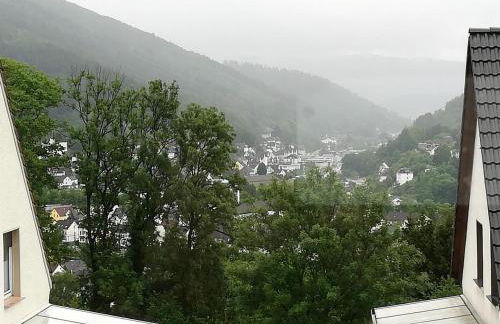 Ferienwohnung am Silberg - Foto 11