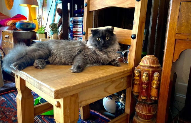 Amazing Riverside Boheme Home in SW London! - Foto 19