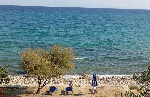 Δίπλα στο κύμα -Βeside the wave - Photo 8