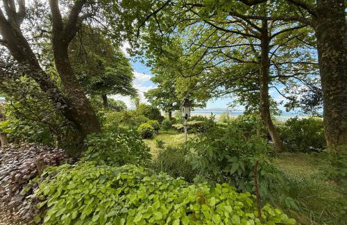 Gower view - Foto 22