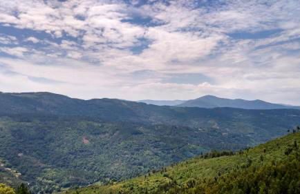 Casa da Quinta - Foto 27