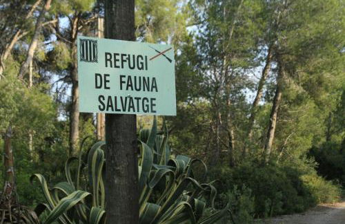 MASIA BARTOMEU Rural house between vineyards 2km from the beach - Foto 25