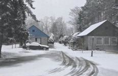 Waldpension Gussow - Foto 64