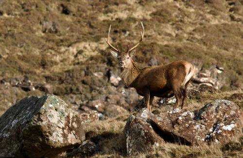 Normann's Ruh - Foto 18