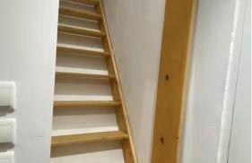 La chrysalide - Foto 10