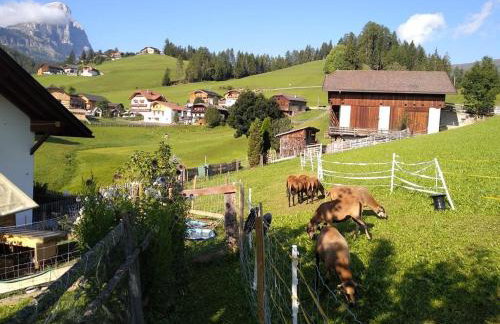 Haus Belodei - Apt A - Foto 3