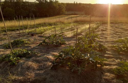 Gîte la Métairie Basse - Foto 15