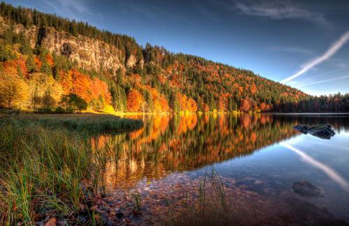 Balkon mit Schwarzwaldblick, Hunde frei, Tischfußball, Parkplatz, familienfreundlich - Foto 29