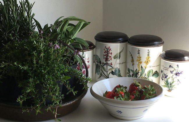 House & Garden - Foto 11