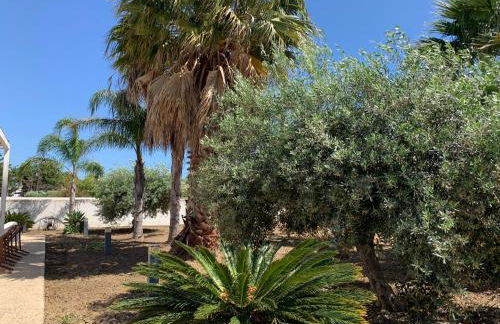 Villa Le Dune Cicas - Foto 34