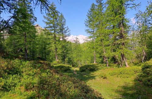 Central Apartments Domodossola - Photo 10