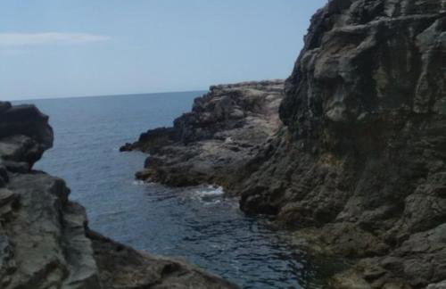 New studio app for 2 - Foto 32