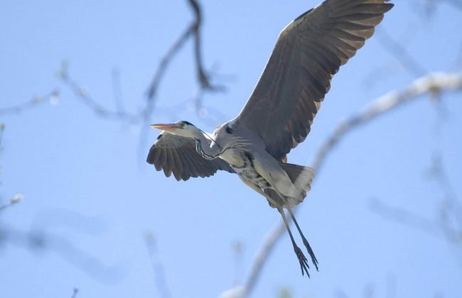 Apartment in a Fantastic Location Just 20 m From Lake Boruja in Rekowo - Foto 10