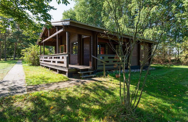 Blockhauser auf Reiterhof in Eschede - Foto 72