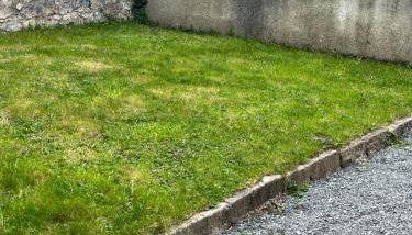 Culver Bungalows - Foto 2, Garden view