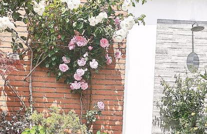 B&B Vimo - Appartamento con terrazzo privato Milano San Raffaele - Vimodrone - Foto 36