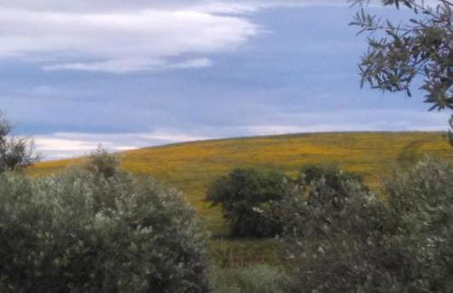 Agriturismo IL CANTINIERE - Foto 24