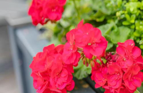 Charmantes Feriendomizil in Medebach - Foto 49