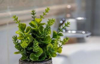 Azure Loft Boutique - Foto 15