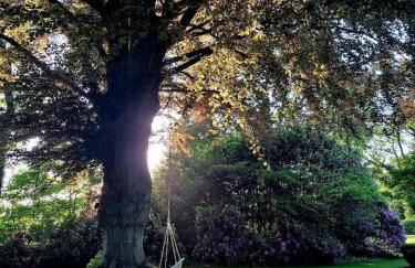 Ferienwohnung Rotbuche - Foto 26