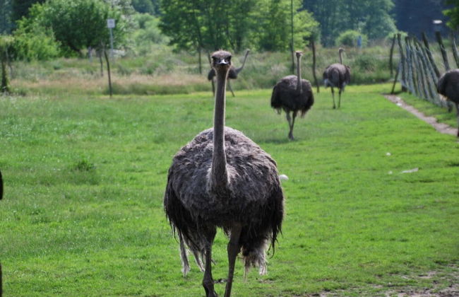 at Bauernsee Modern Retreat - Foto 15