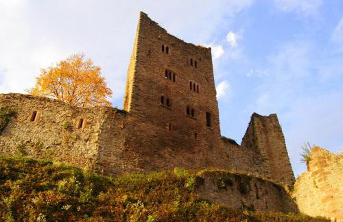 Schauenburgblick - Foto 13